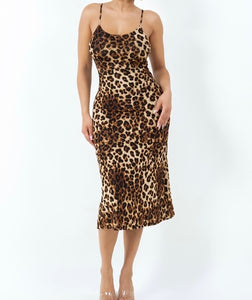 Serenity Mesh Animal Printed Dress