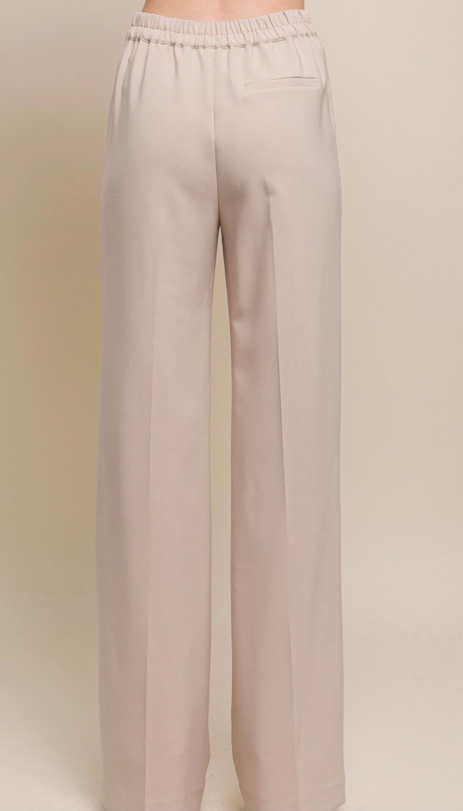 Derrick Regular Fit Dress Pants