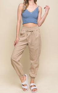 Ari Elastic Waistband Jogger Pants