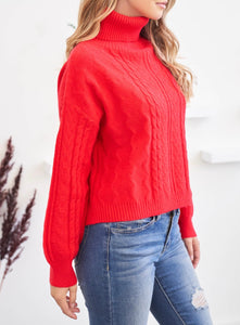 Angelica Turtleneck Sweater Blouse