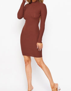 Nina Open Back Turtleneck Dress