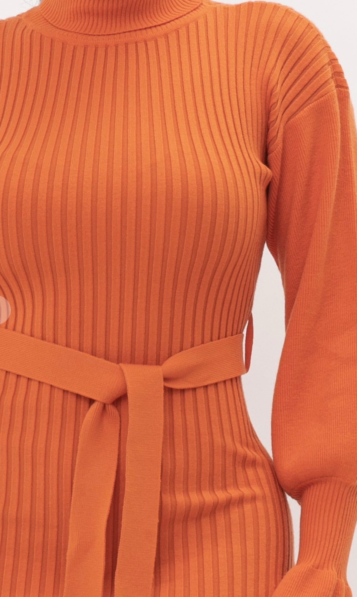 Luna Statement Sleeve Midi Dress